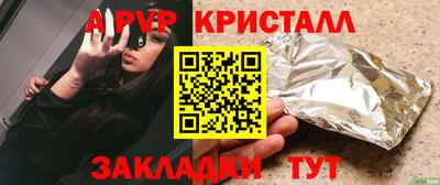 spice Гатчина