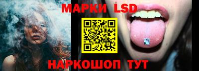spice Гатчина