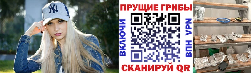 Купить закладки  Ярцево  Галлюциногенные грибы ЛСД 